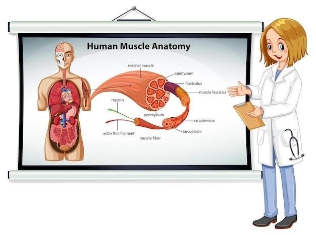 anatomy and physiology lab practical 1 pdf