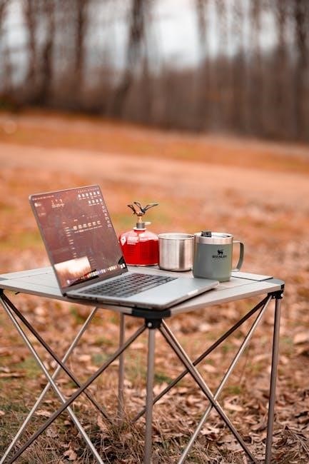 mr heater portable buddy manual